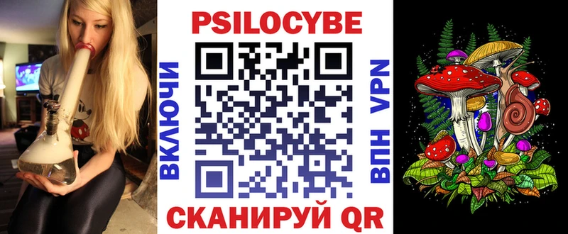Галлюциногенные грибы Psilocybine cubensis  Кочубеевское 
